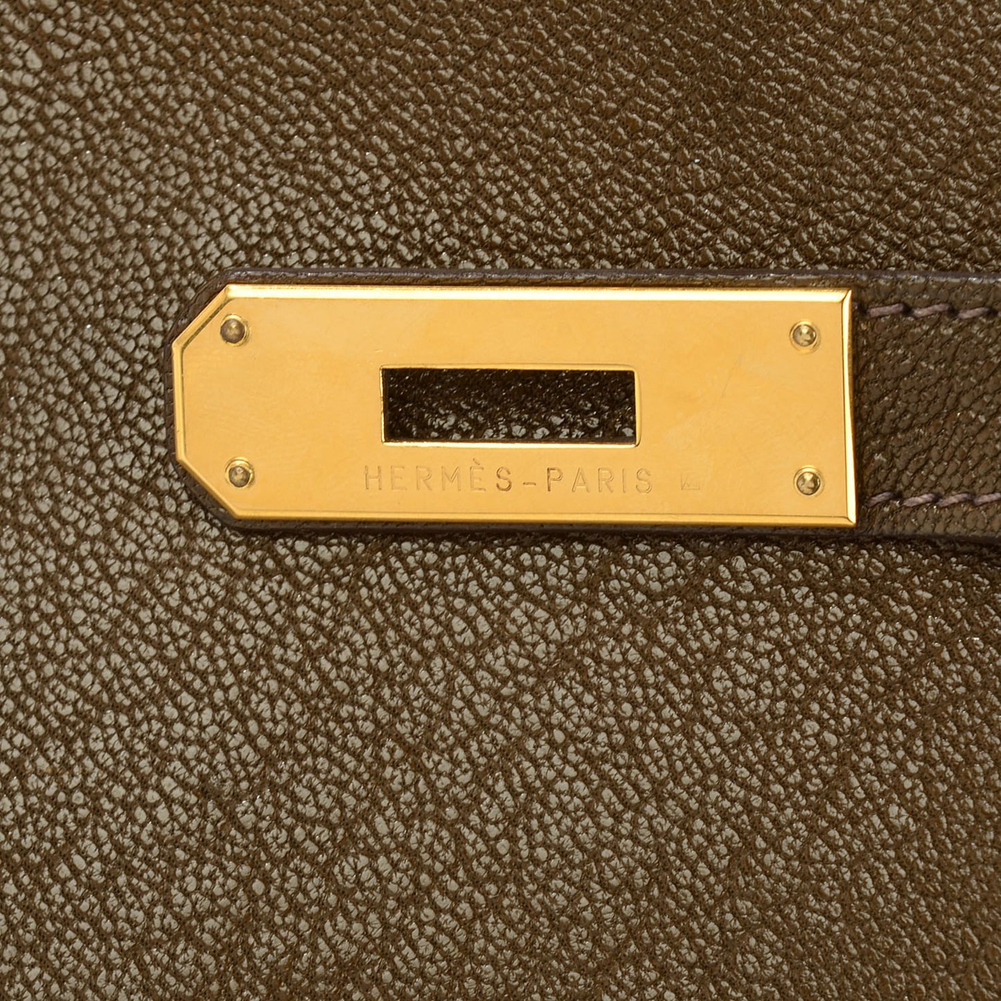 Chevre de Coromandel Kelly Retourne 32 Vert Bronze