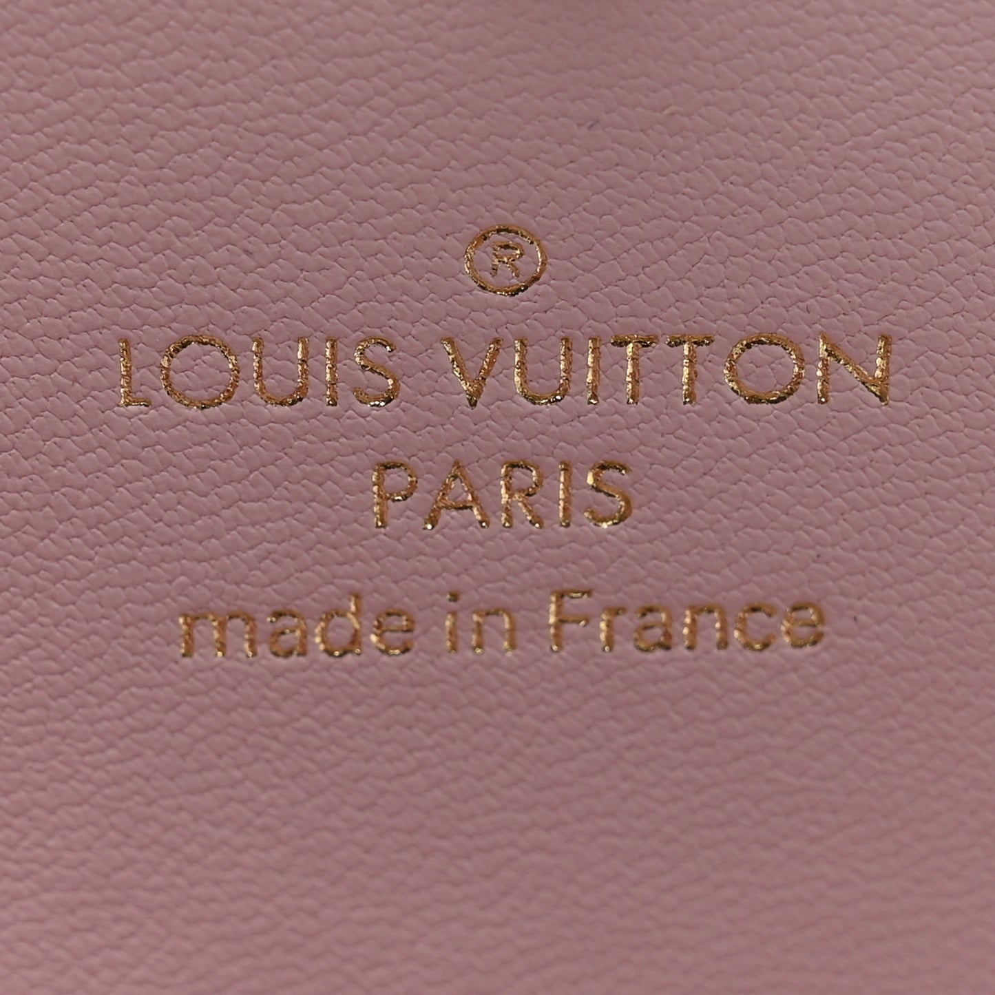 Monogram Giant By The Pool Large Kirigami Pochette Pink