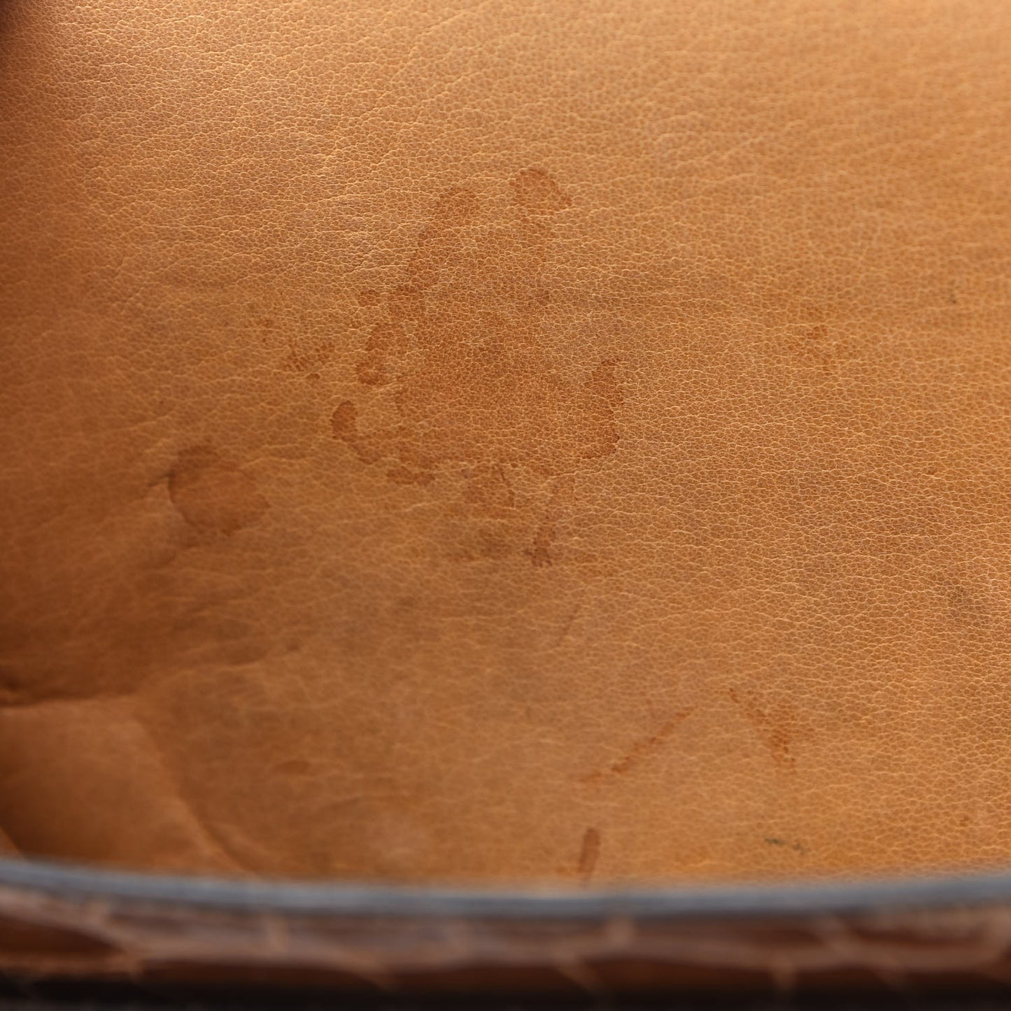 Shiny Porosus Crocodile Sac Chaine d Ancre Fauve