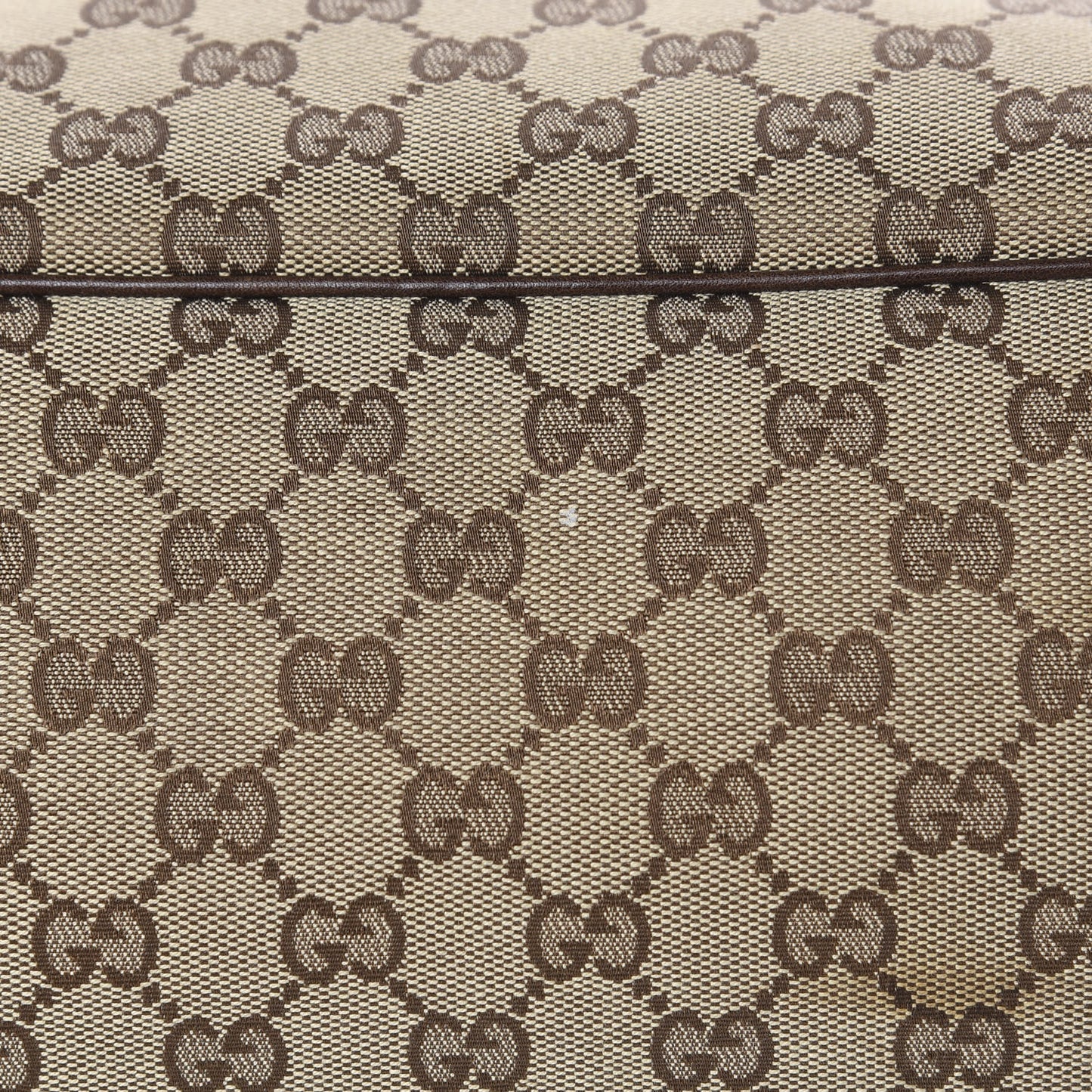 Monogram Large Positano Tote Brown