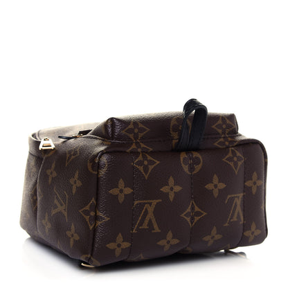 Louis Vuitton Monogram Palm Springs Backpack Mini 4 of 11