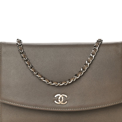 Chanel Caviar Sevruga Wallet On Chain WOC Grey 8 of 15