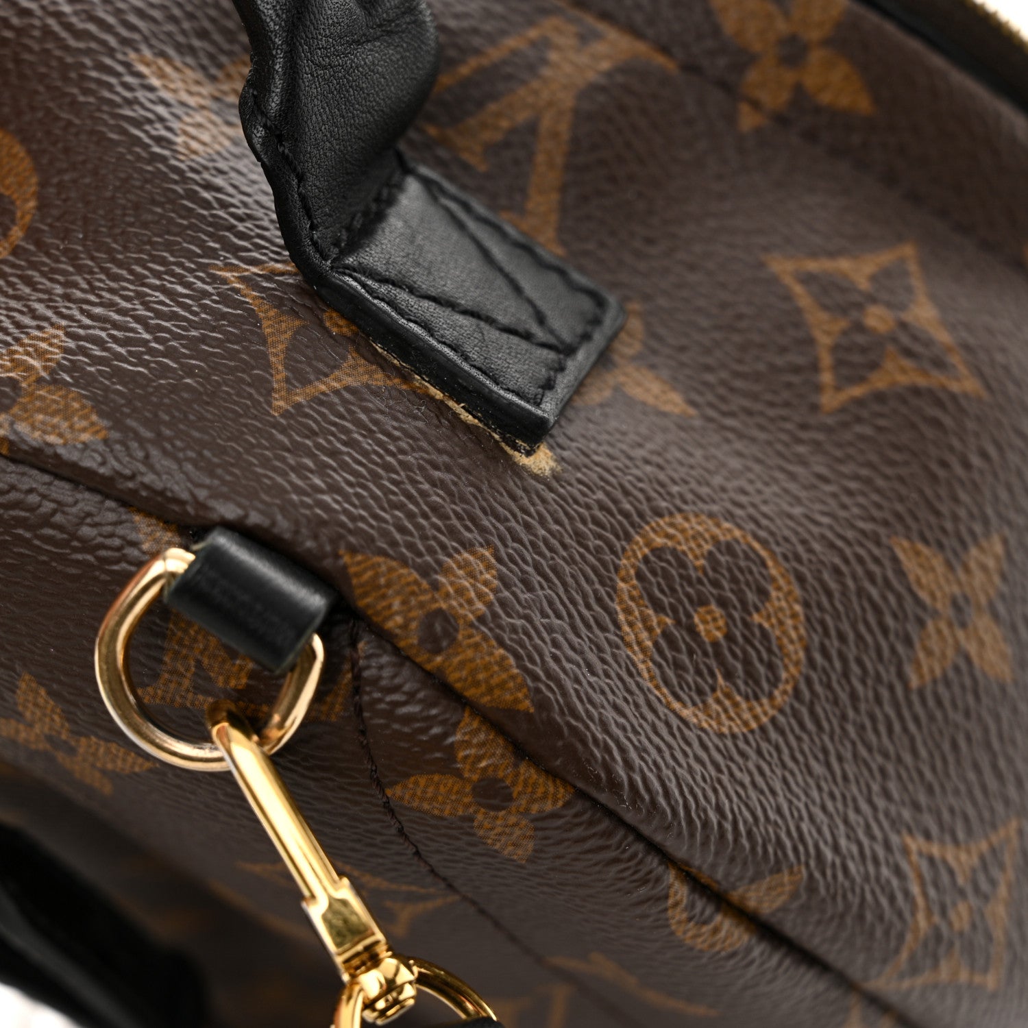 Louis Vuitton Monogram Palm Springs Backpack Mini 16 of 17