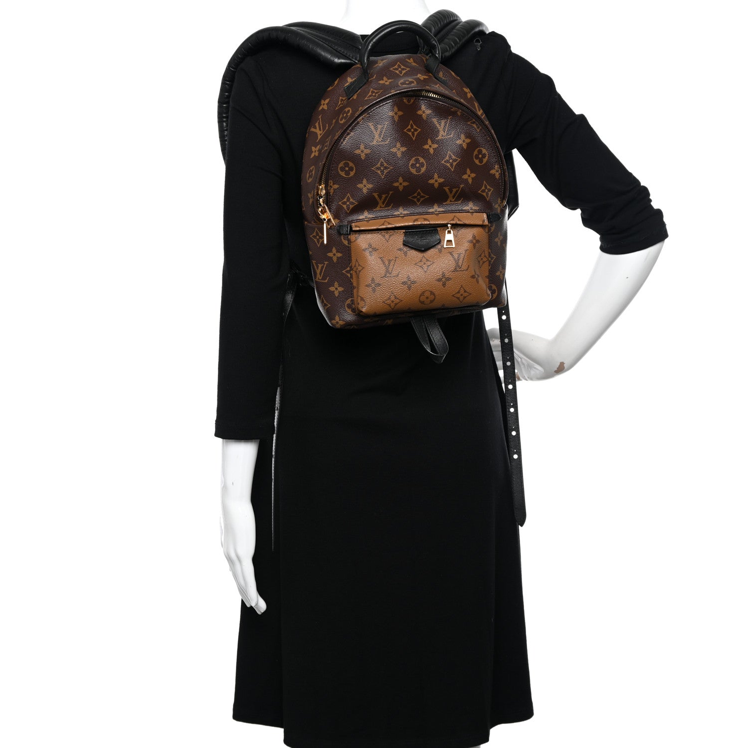 Louis Vuitton Reverse Monogram Palm Springs Backpack PM 2 of 10
