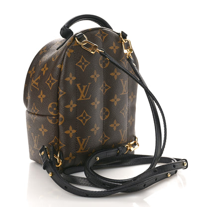 Louis Vuitton Monogram Palm Springs Backpack Mini 3 of 10