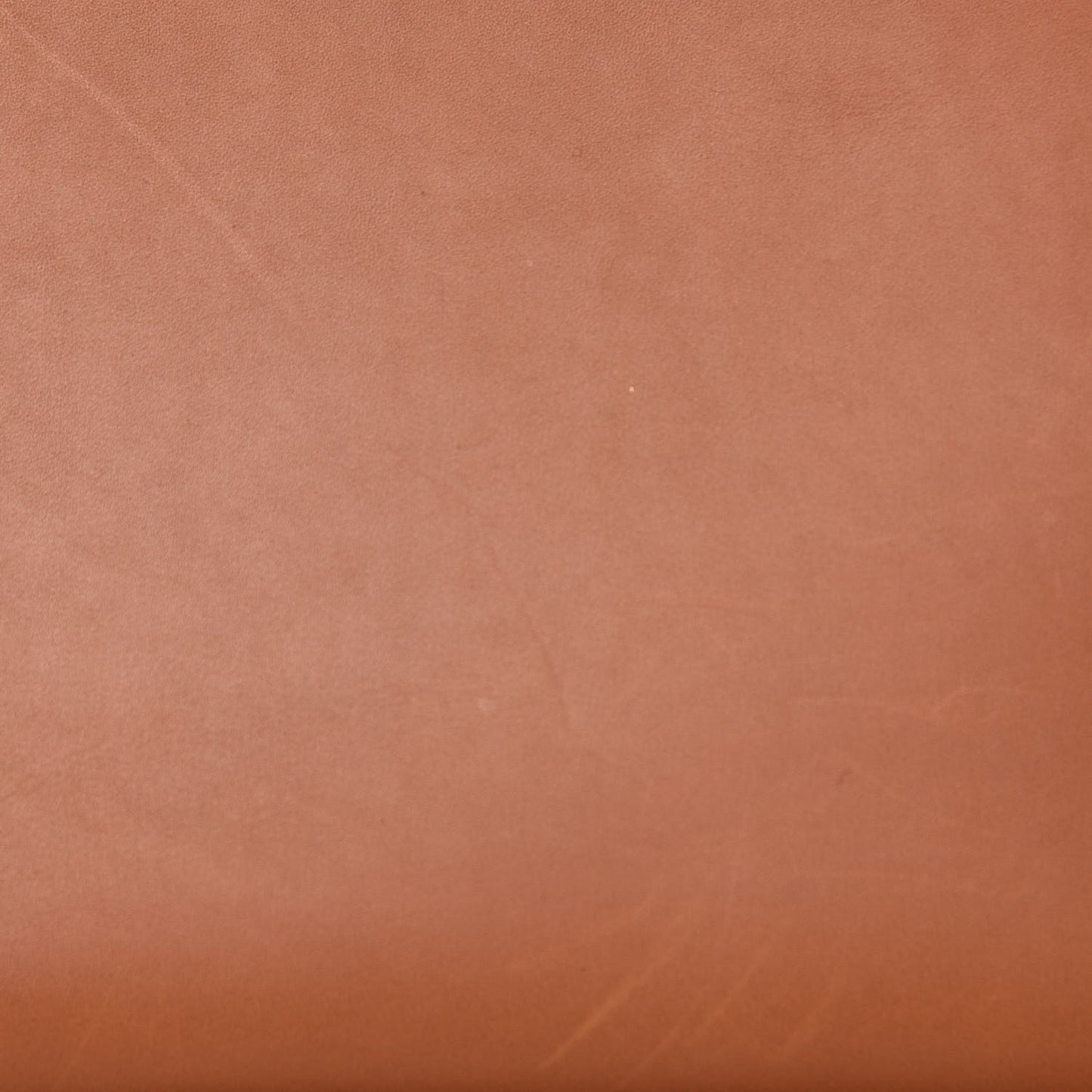 Natural Calfskin Small Trapeze Tan