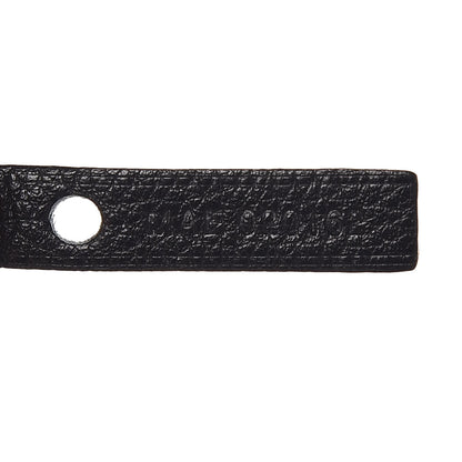 Goyard Goyardine Saint Louis PM Black 9 of 9