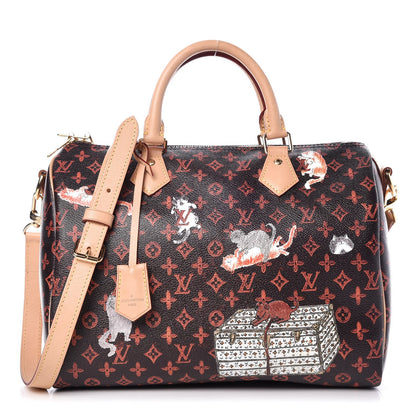 Louis Vuitton Catogram Speedy Bandouliere 30 Marron 1 of 8