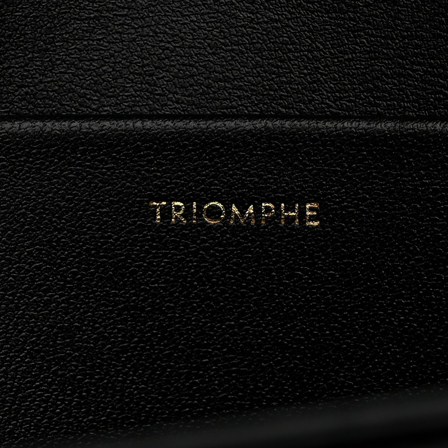 Shiny Calfskin Medium Triomphe Black