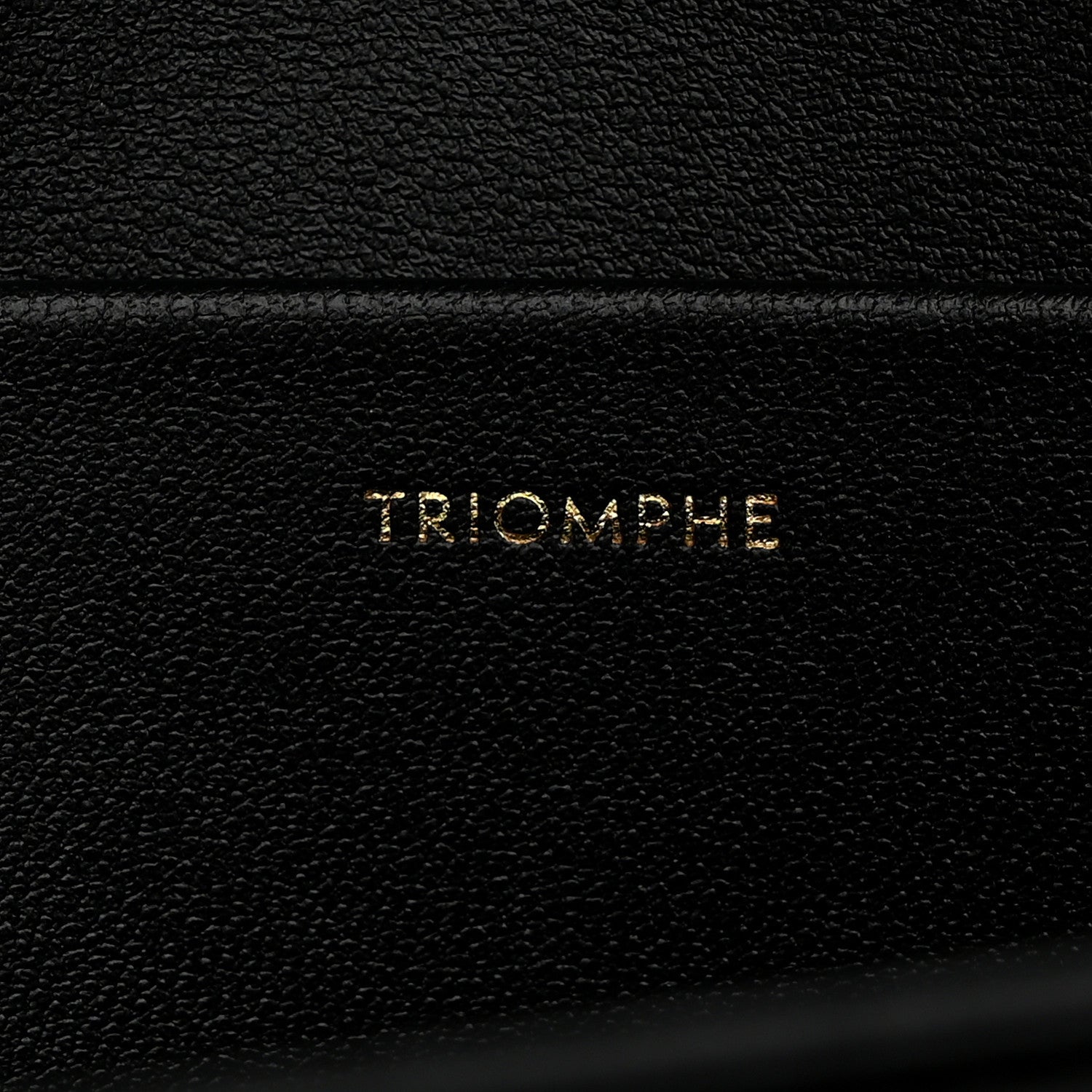 Celine Shiny Calfskin Medium Triomphe Black 7 of 11