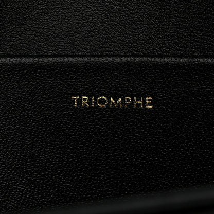 Celine Shiny Calfskin Medium Triomphe Black 7 of 11