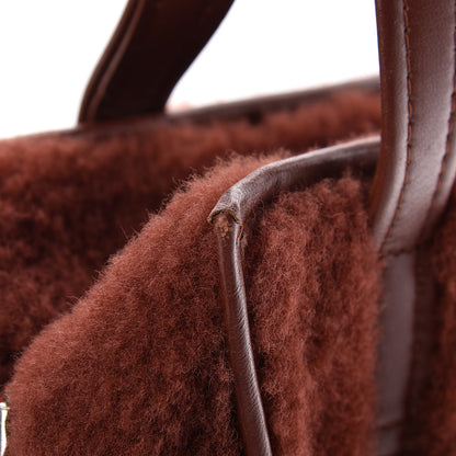 Balenciaga Shearling XS Bazar Shopper Tote 16 of 19