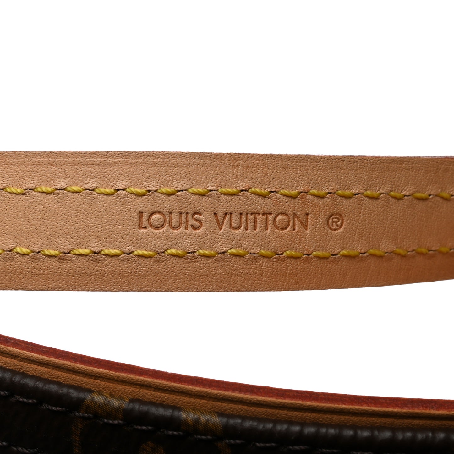 Monogram Baxter Dog Leash MM