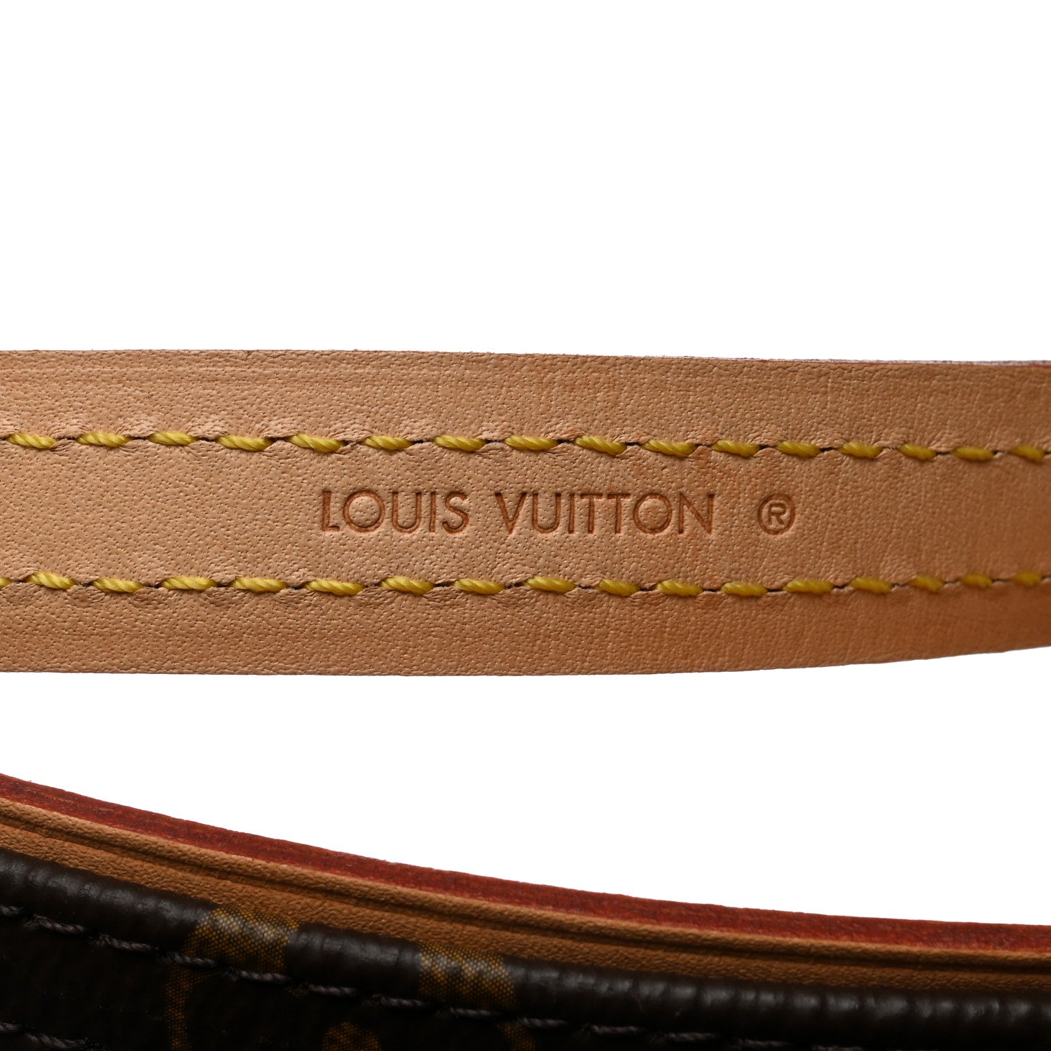 Louis Vuitton Monogram Baxter Dog Leash MM 5 of 7