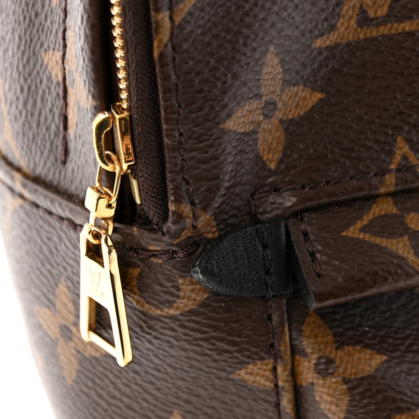 Monogram Palm Springs Backpack Mini