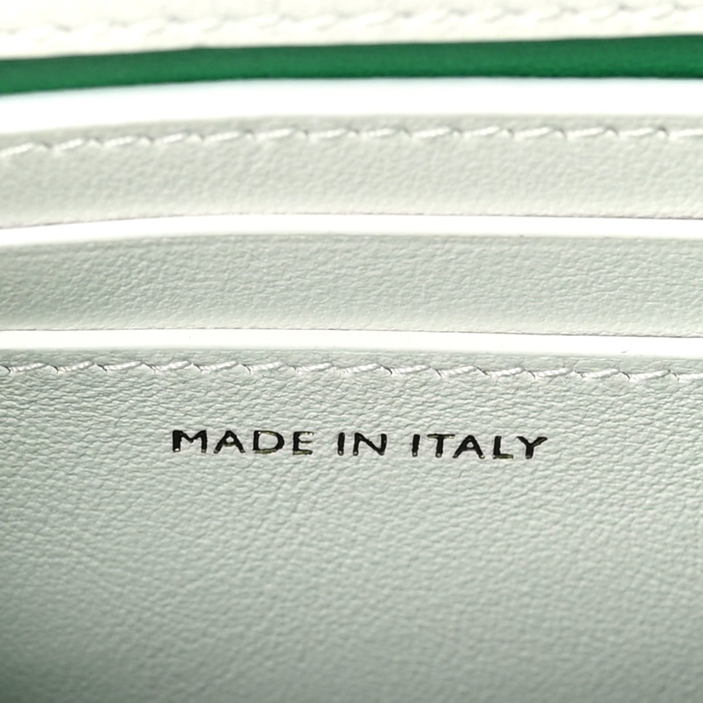 X CASABLANCA Calfskin Serpenti Forever Apres Vertical Pochette Tennis Green White