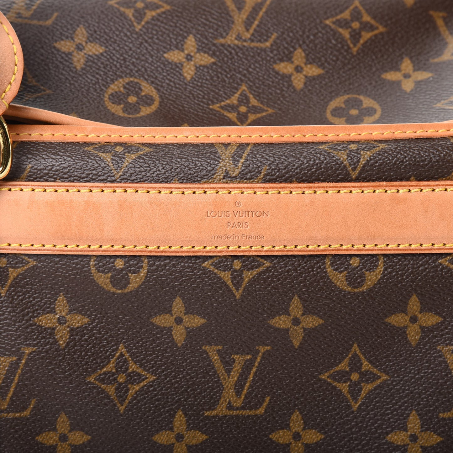Monogram Sac Chien 40 Pet Carrier
