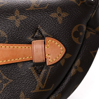 Louis Vuitton Monogram Bumbag 12 of 19