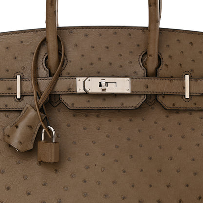 Hermes Ostrich Birkin 30 Mousse 8 of 15