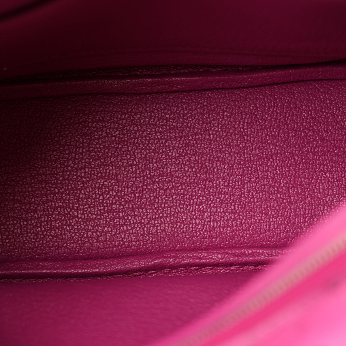 Ostrich Plume II Mini Rose Pourpre
