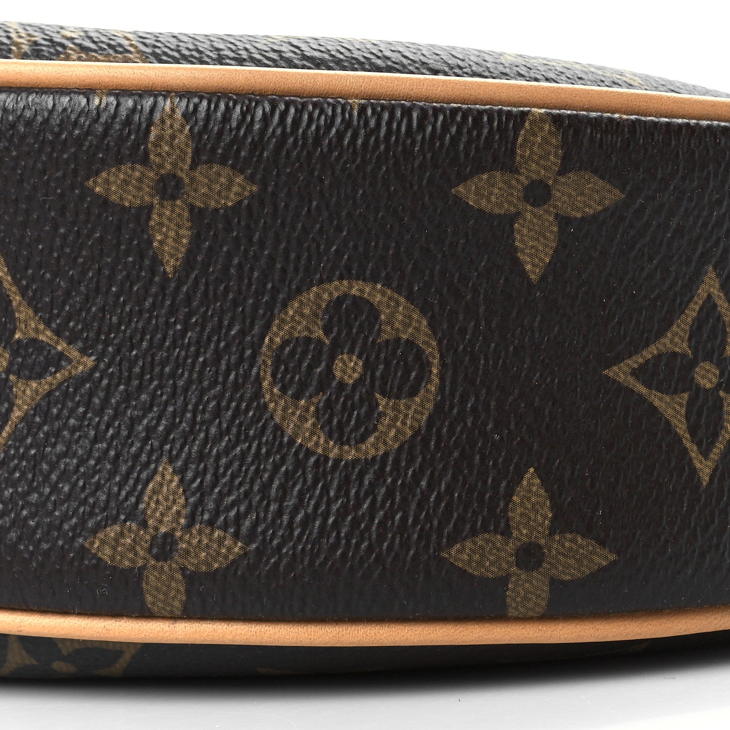 Louis Vuitton Monogram Loop 8 of 8