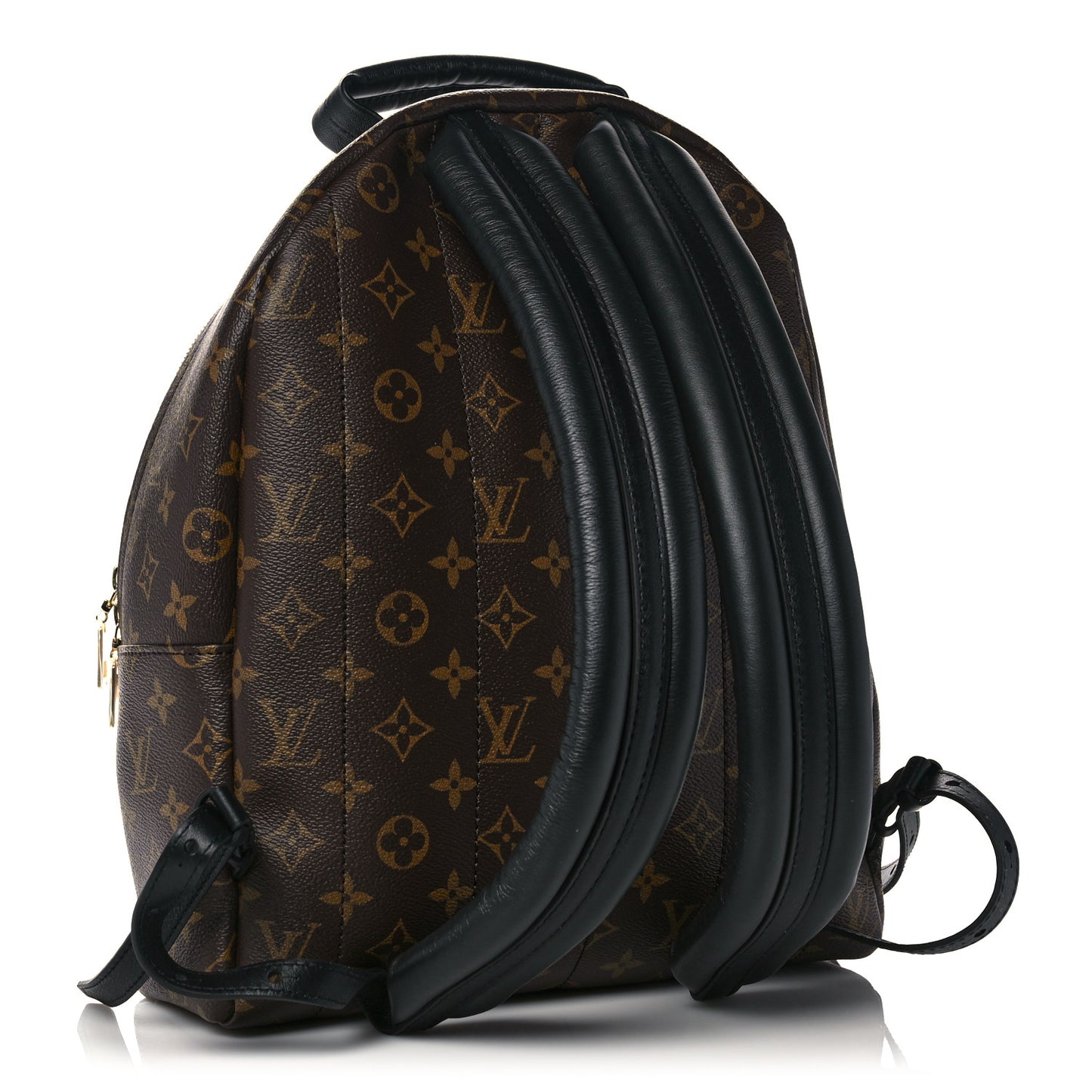 Monogram Palm Springs Backpack MM
