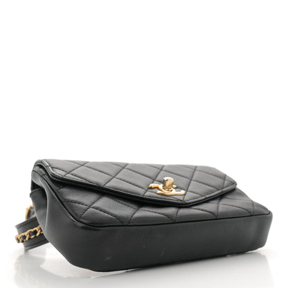 Chanel Calfskin Quilted Flap Waist Bag Black 4 of 12