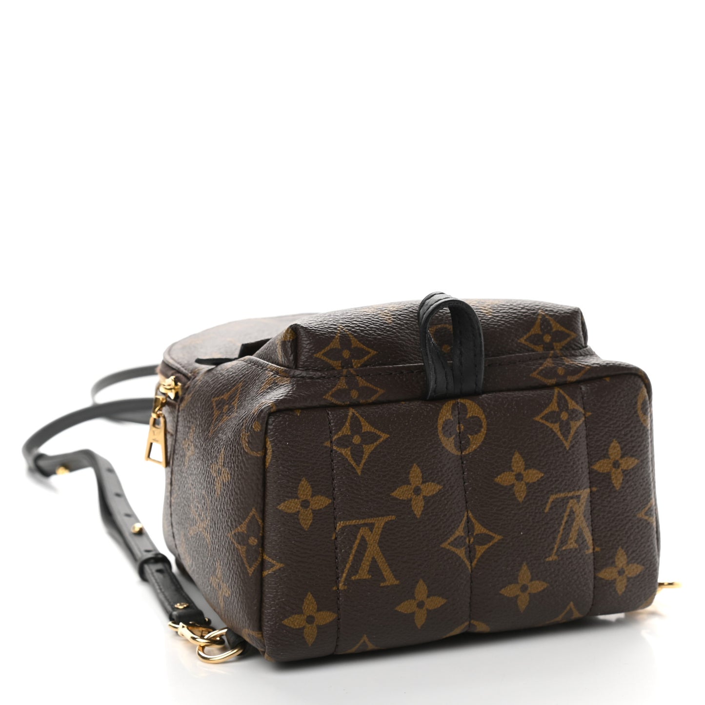 Monogram Palm Springs Backpack Mini