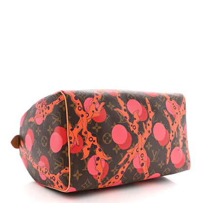 Louis Vuitton Monogram Ramages Speedy 30 Grenade 4 of 10