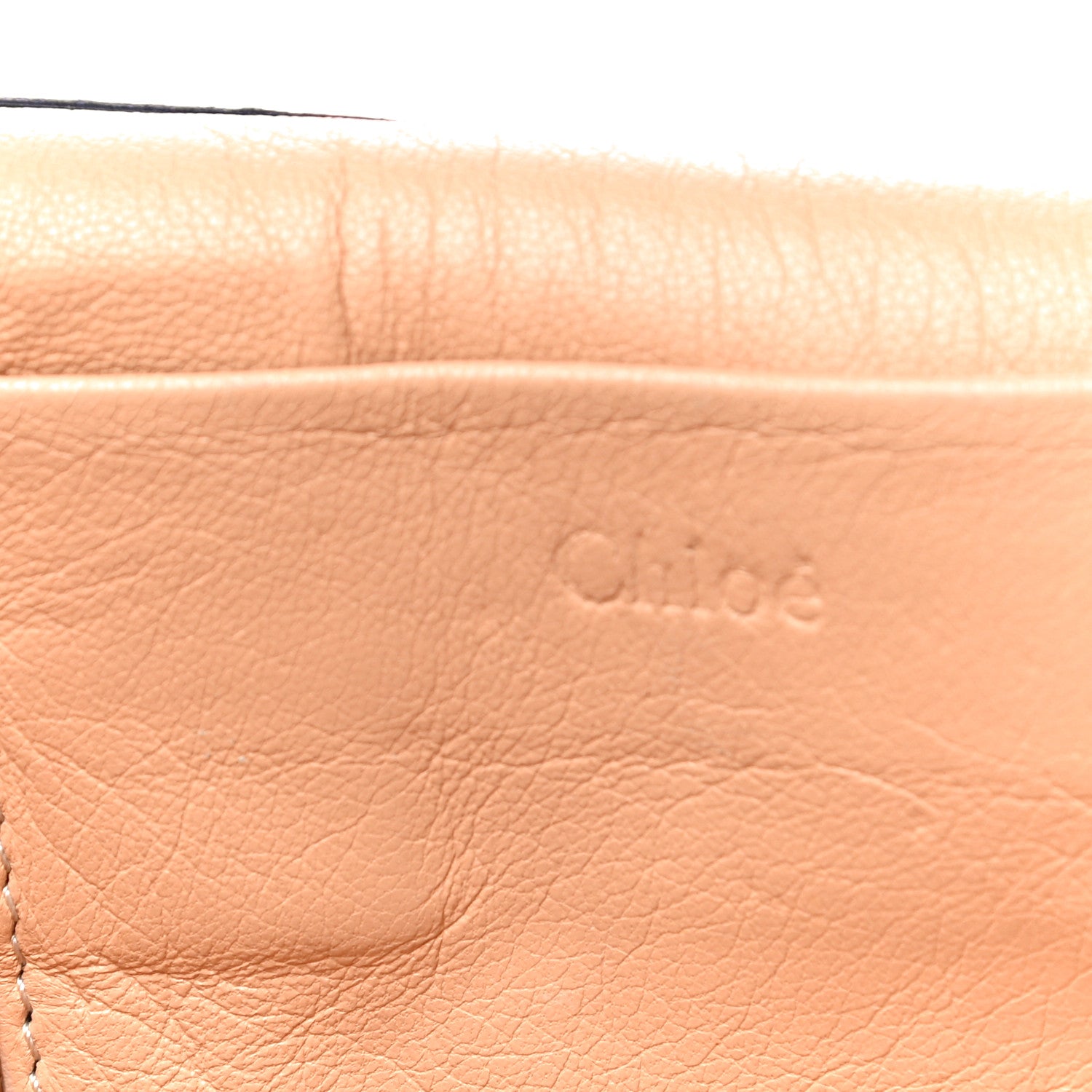 Chloe Goatskin Medium Elsie Shoulder Bag Dove 16 of 26