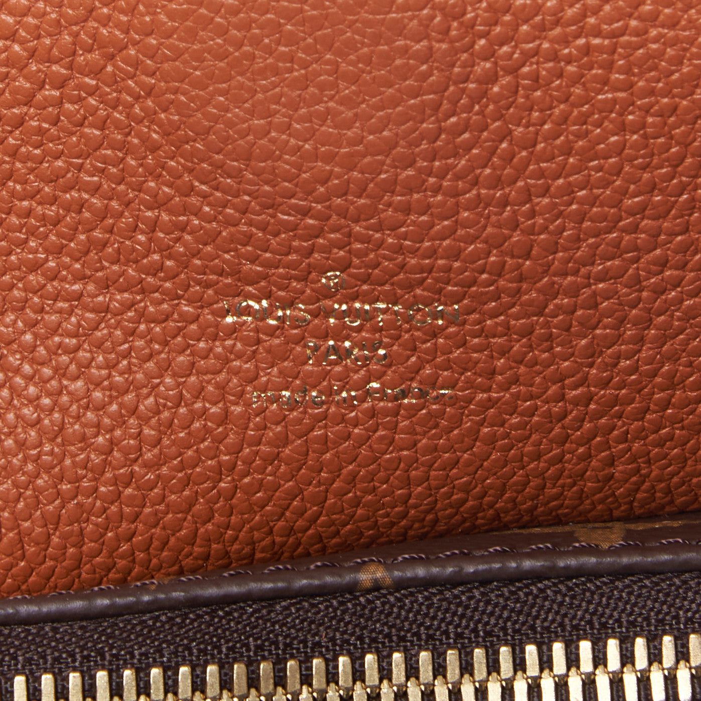 Monogram Manhattan NM Caramel
