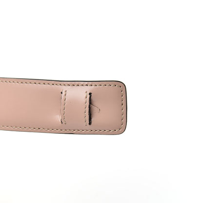 Prada Spazzolato Soft Calfskin Plex Ribbon Bag Pesco 11 of 11