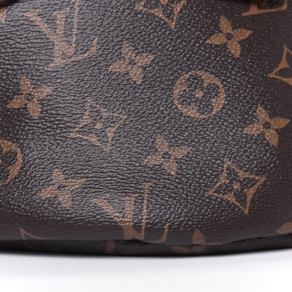 Louis Vuitton Monogram Bumbag 7 of 16