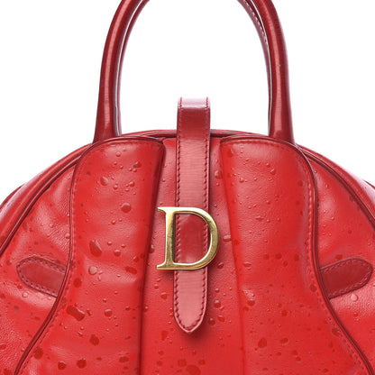 Christian Dior Calfskin Mini Splashed Saddle Bowler Red 14 of 14
