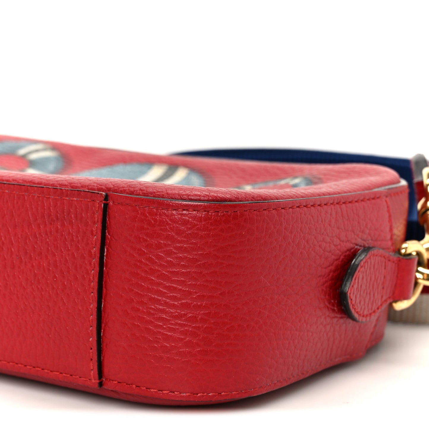 Grained Calfskin Sylvie Web Kingsnake Small Camera Bag Red Multicolor