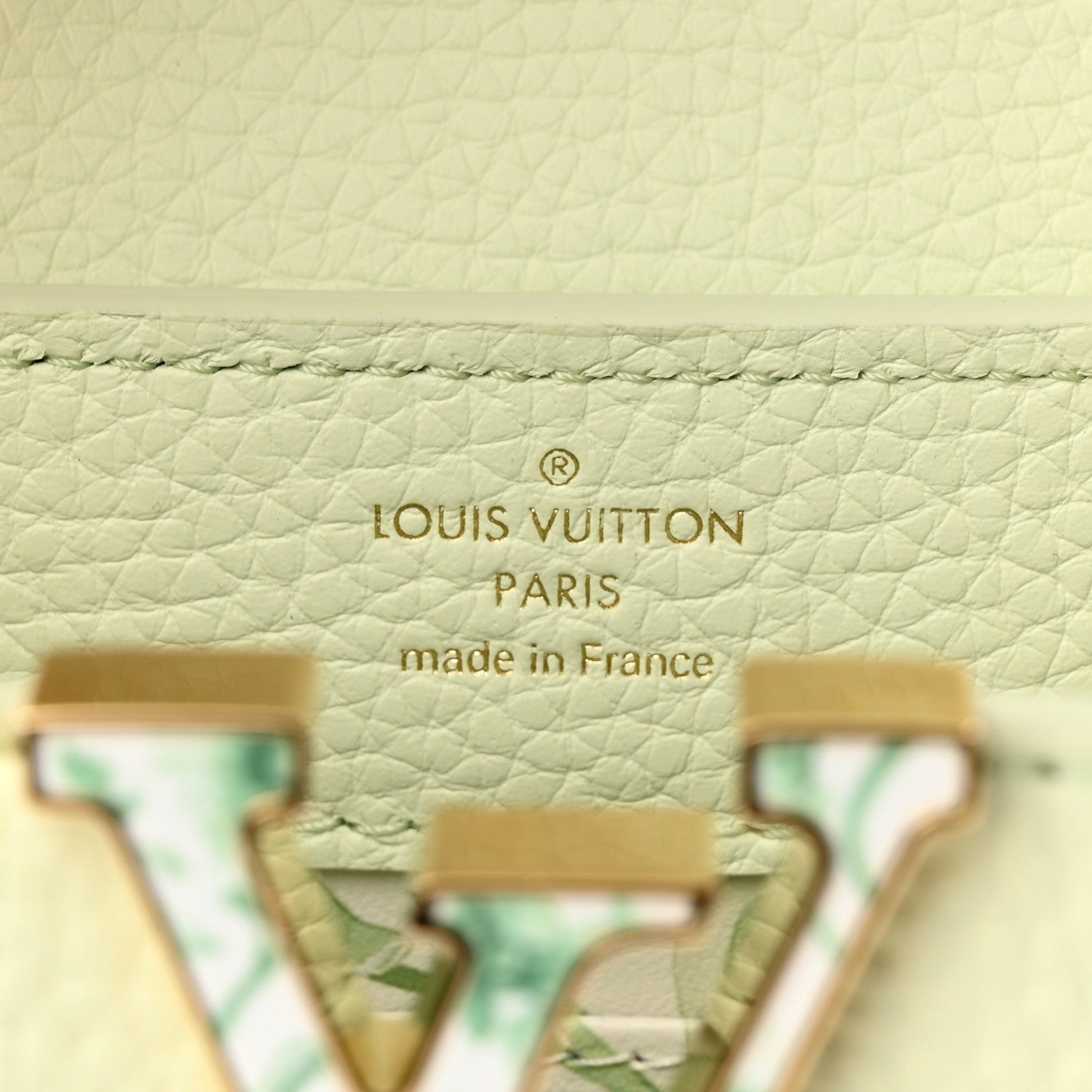 Louis Vuitton Taurillon Karung Mini Capucines Vert D'eau Green 6 of 10