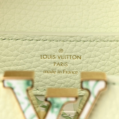 Louis Vuitton Taurillon Karung Mini Capucines Vert D'eau Green 6 of 10
