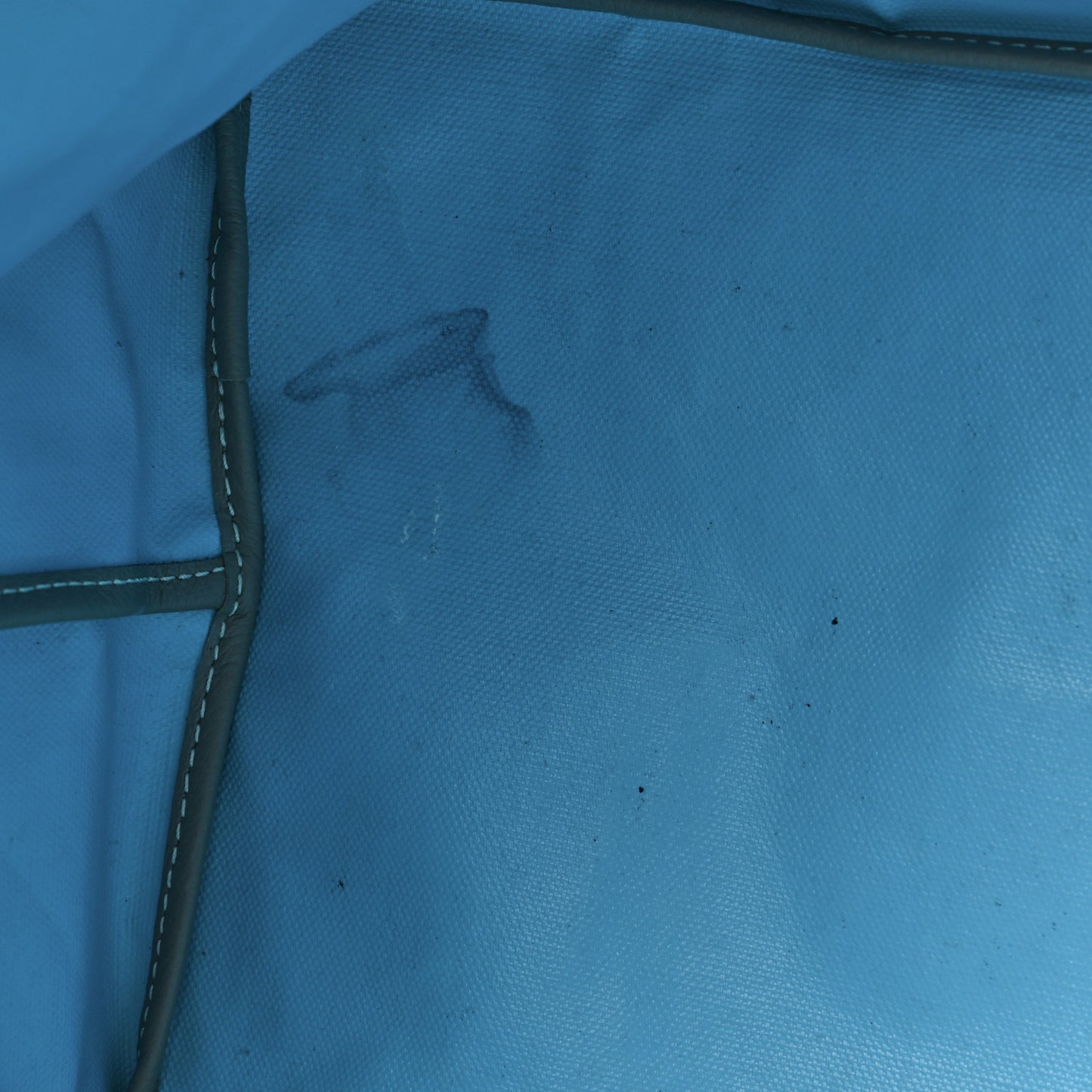 Goyardine Saint Louis Claire Voie GM Grege Turquoise