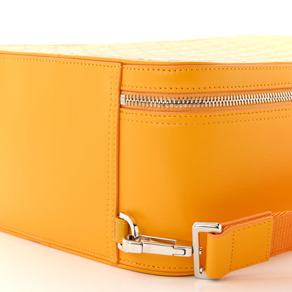 Christian Dior Calfskin Perforated Oblique Galaxy Marsupio World Tour Pelle Sling Yellow White 10 of 10