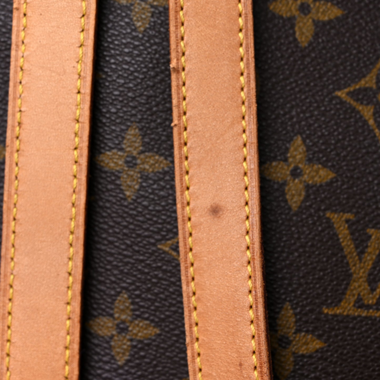 Monogram Cabas Alto