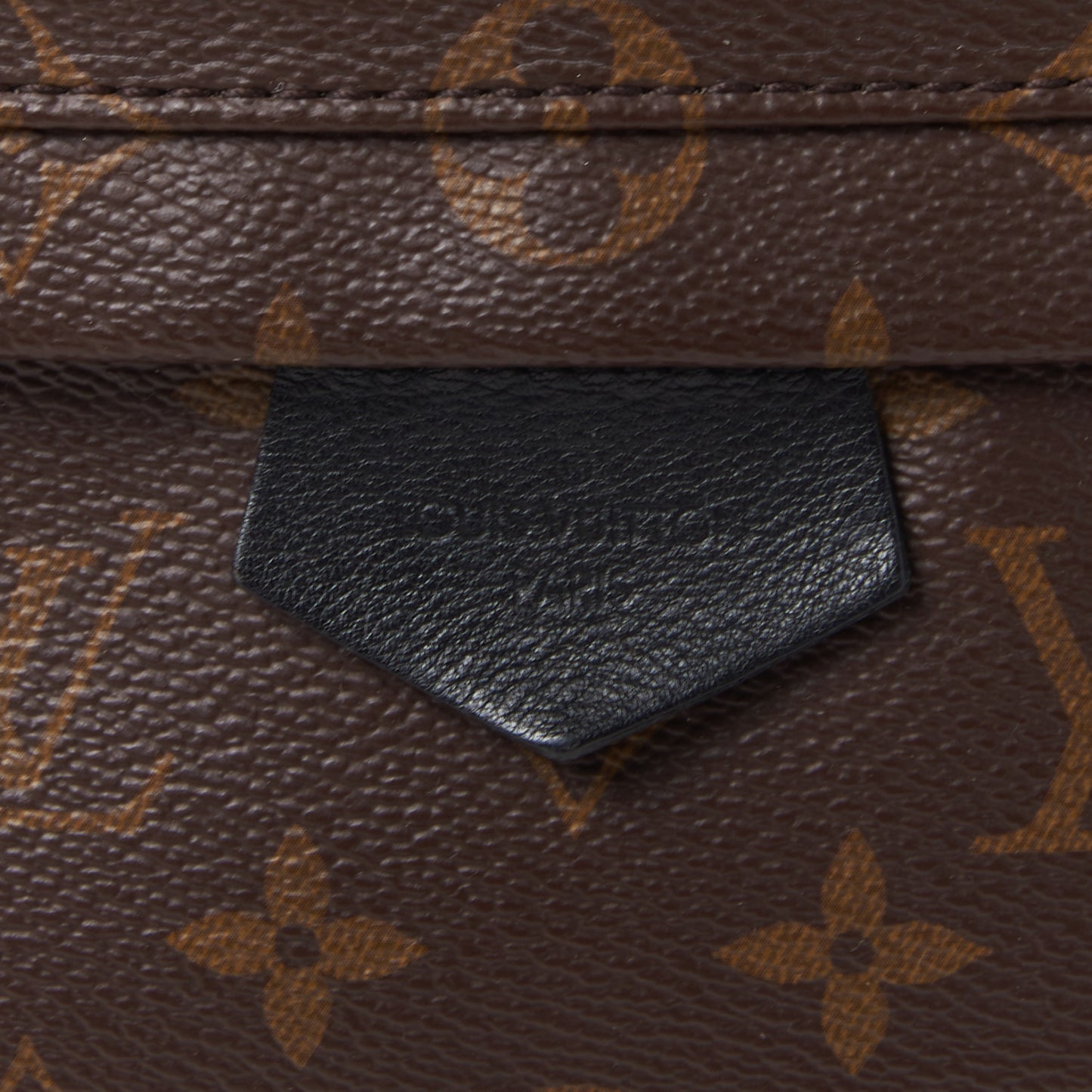 Monogram Palm Springs Backpack MM