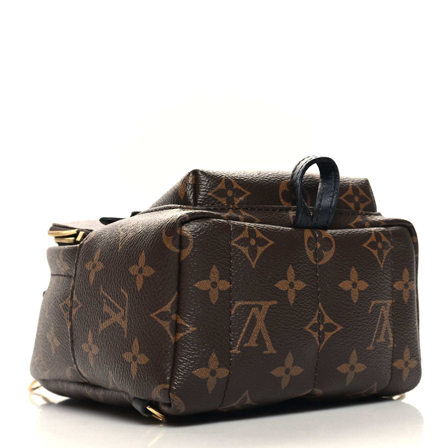 Monogram Palm Springs Backpack Mini