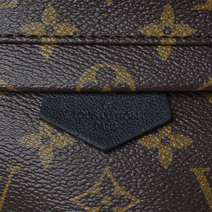 Louis Vuitton Monogram Palm Springs Backpack PM 11 of 11