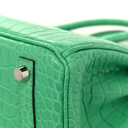 Hermes Matte Alligator Birkin 25 Vert Comics 12 of 13
