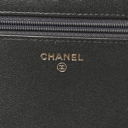 Chanel Sheepskin Quilted Mademoiselle Vintage Wallet On Chain WOC Ruthenium 6 of 12