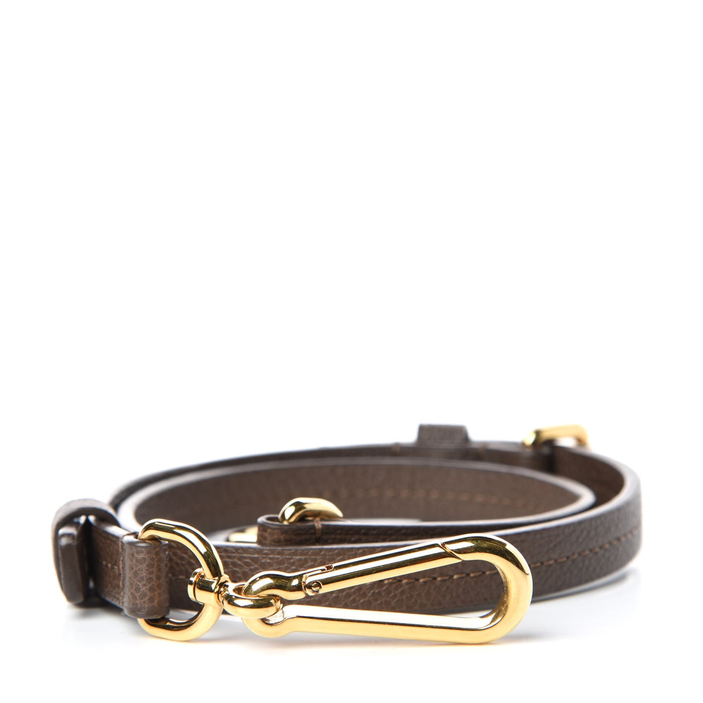 Calfskin Audacieuse Shoulder Strap Ombre
