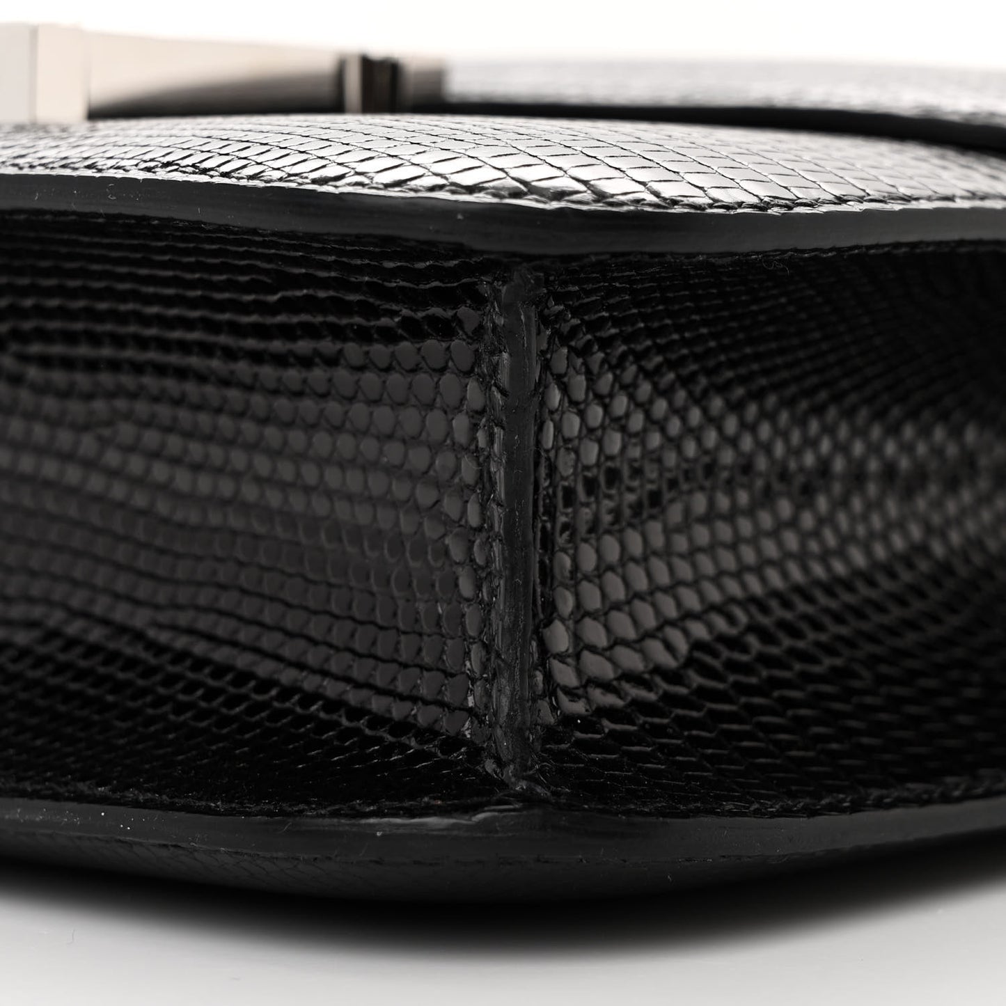 Lizard Constance 1-24 Black