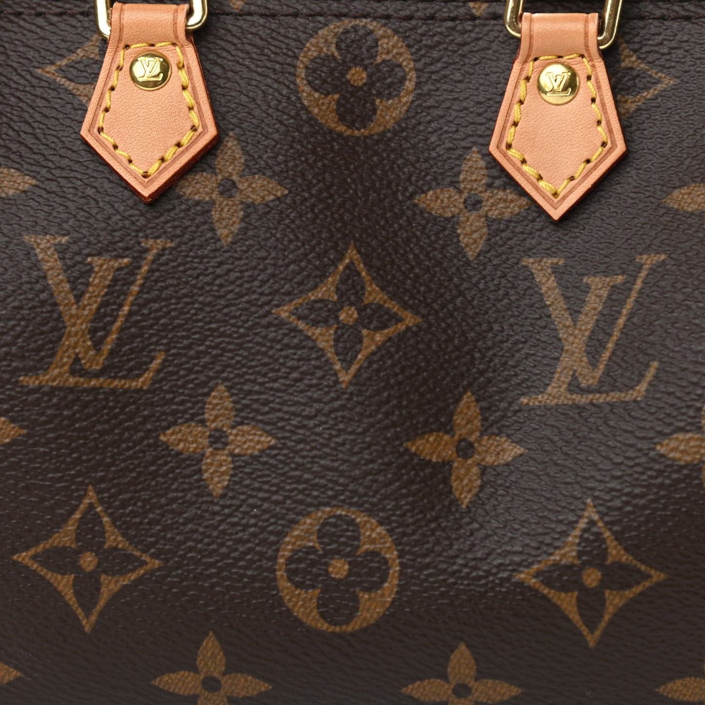 Monogram Nano Speedy