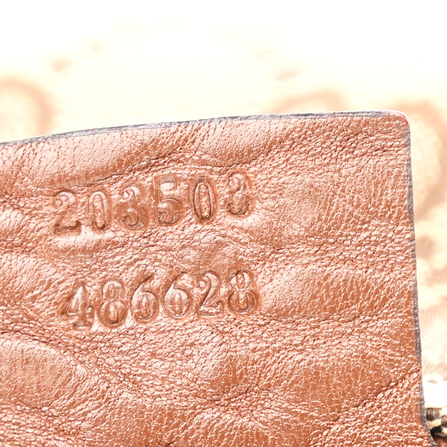 Monogram Medium Charlotte Hobo Brown