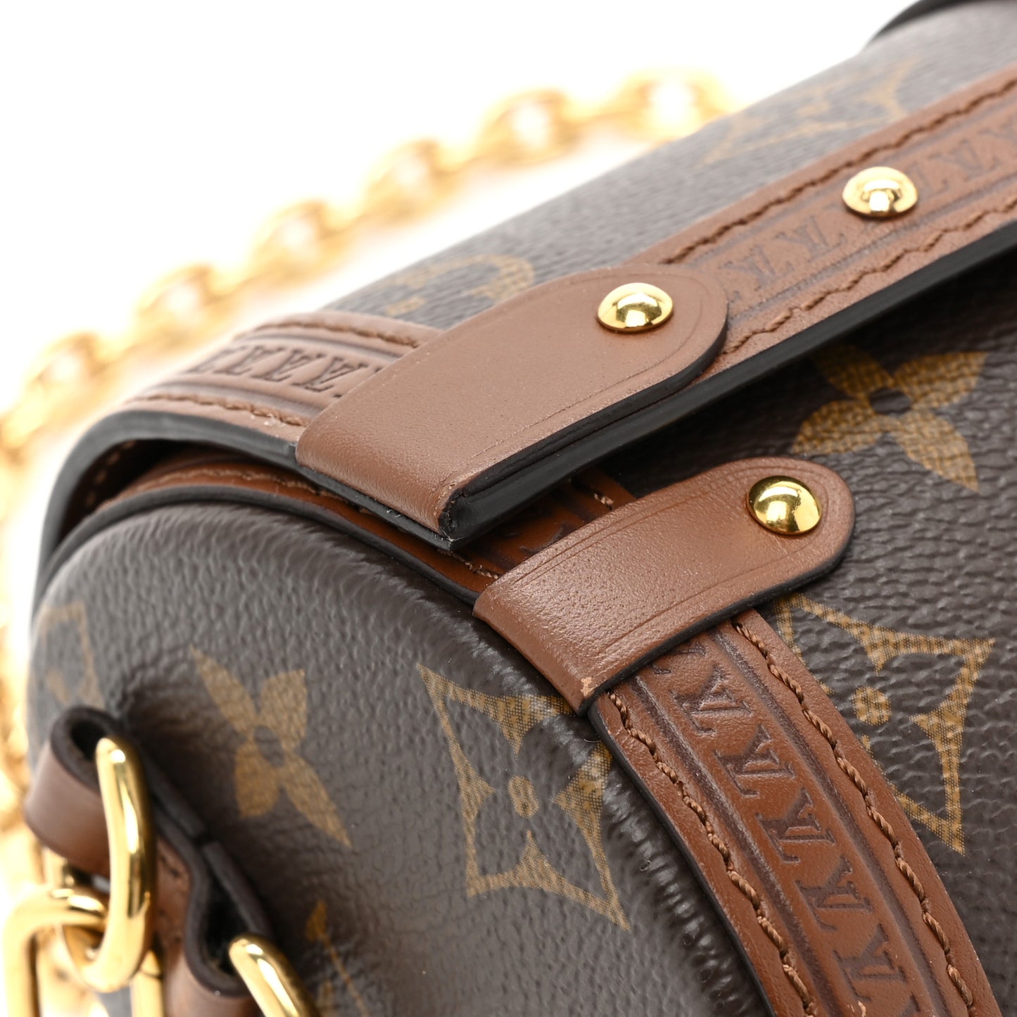 Monogram Papillon Trunk